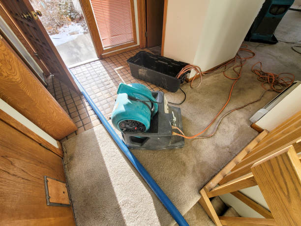 Best Sewage cleanup and water damage restoration  in Darien, IL