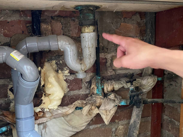 Best Ceiling water damage repair  in Darien, IL