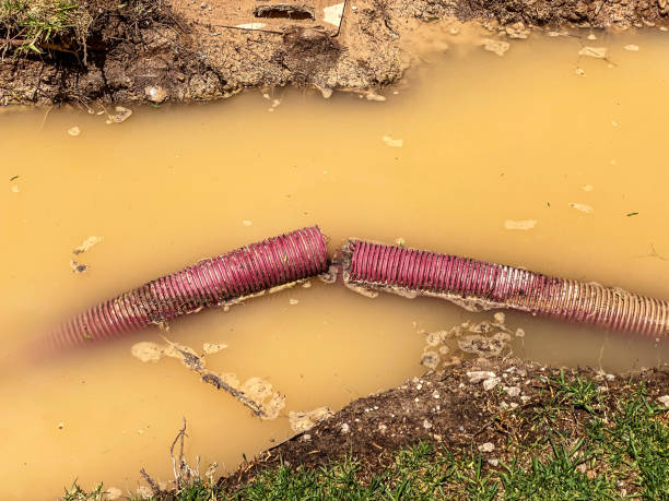 Best Water damage restoration insurance claims  in Darien, IL